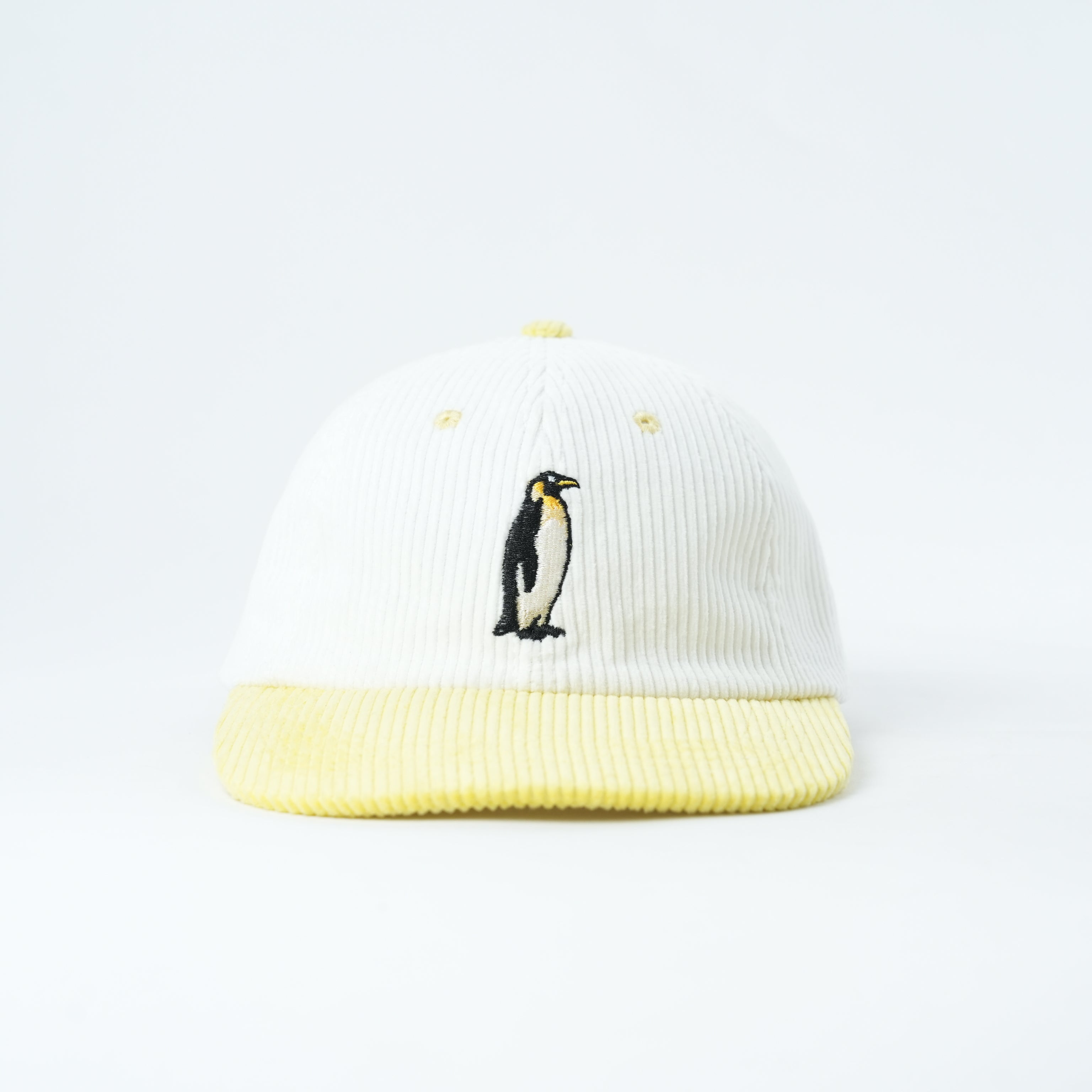 The Colony — Penguin