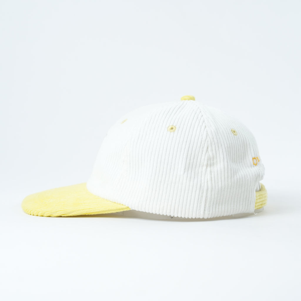 The Colony — Penguin