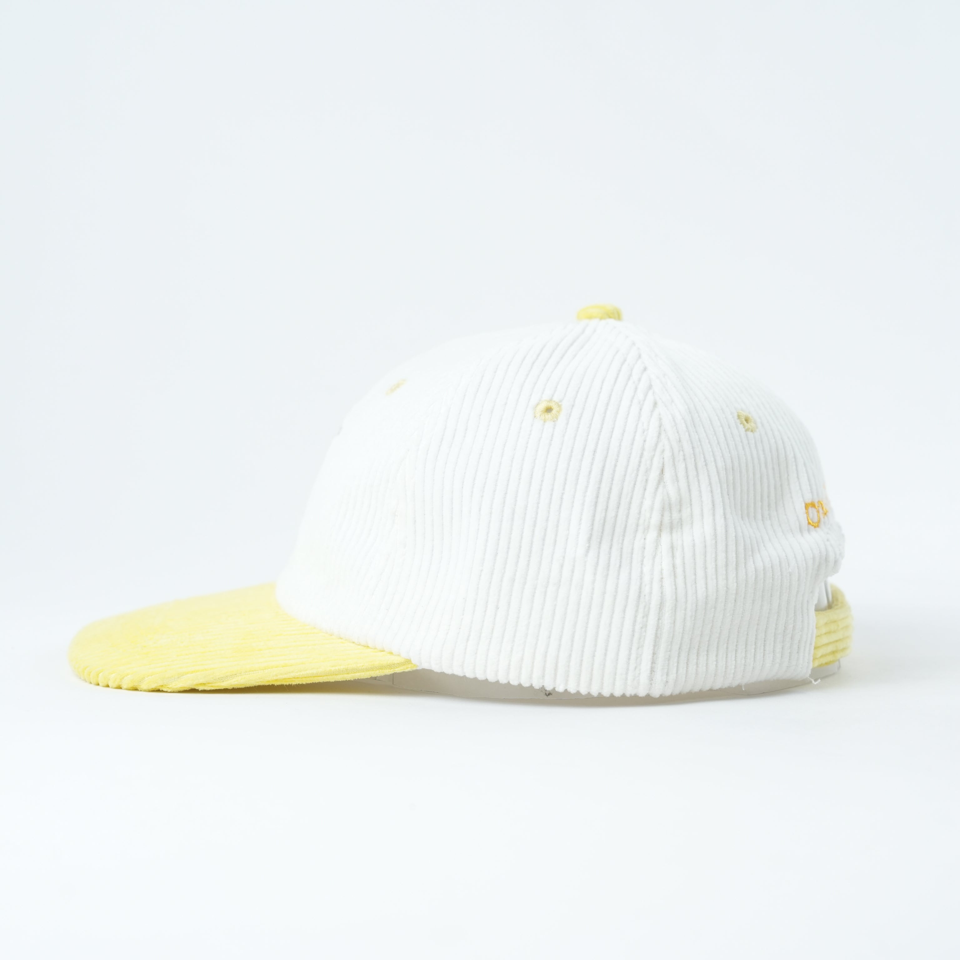 The Colony — Penguin